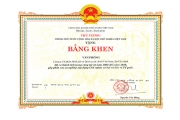 Bằng khen Thủ tướng Chính phủ - Ban 8